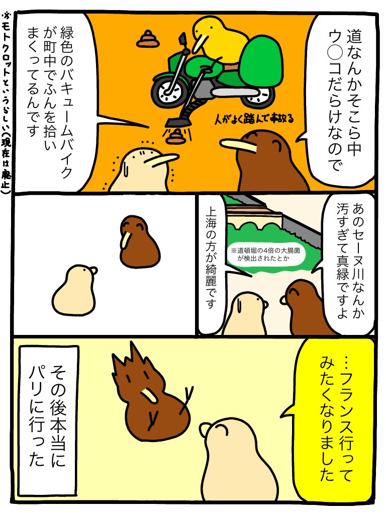 パリ症候群 (Paris syndrome) 