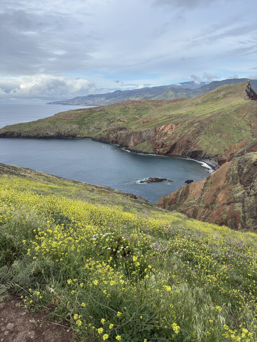 kanaken sehen das und denken sich ja man jetzt hier mit mindestens 40 leuten aus 5 familien grillen shisha rauchen laute musik und müll auf boden