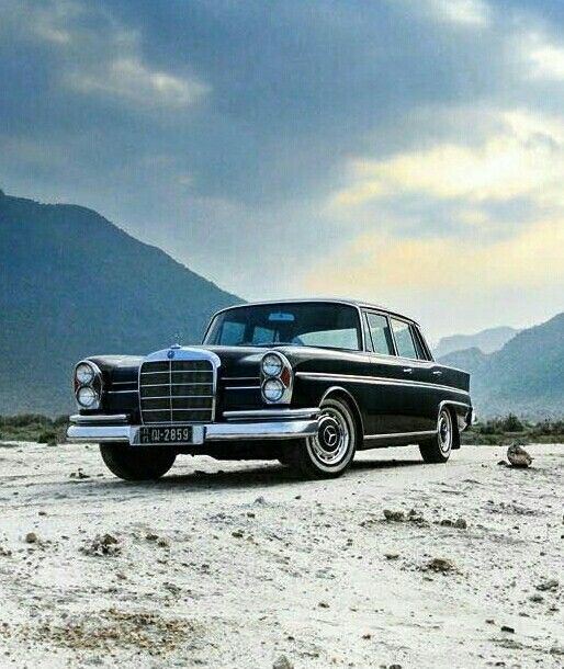 juanjoabsolut's tweet photo. #FintailFriday #w112 https://t.co/dhRFwOa0fL