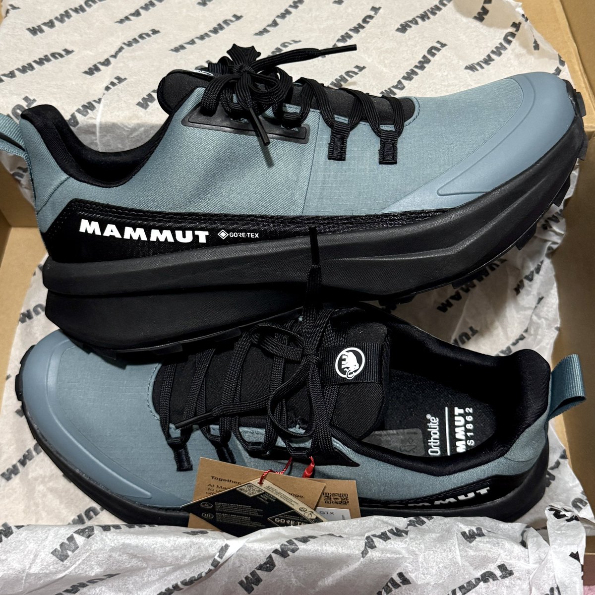 Mammut Aenergy Hike Low GTXを発売初日に入手 スピードハイク用