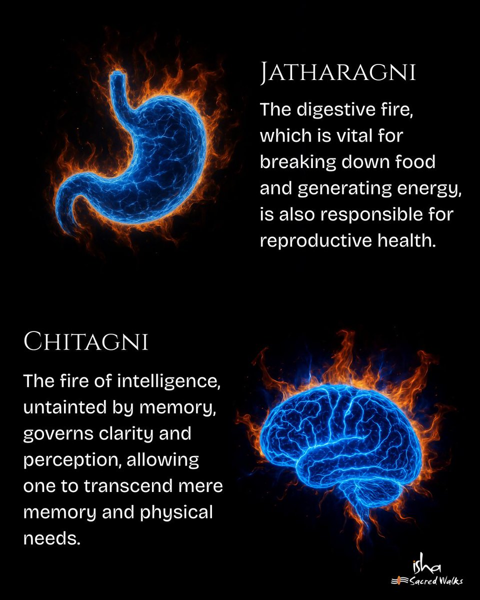 IshaSacredWalks's tweet photo. A Yogi seeking the essence of life does not focus on Jatharagni, Chitagni, or Bhutagni. 
He focuses only on Sarvagni, the ultimate fire that encompasses all.

#IshaSacredWalks https://t.co/0QVEhoeKOH