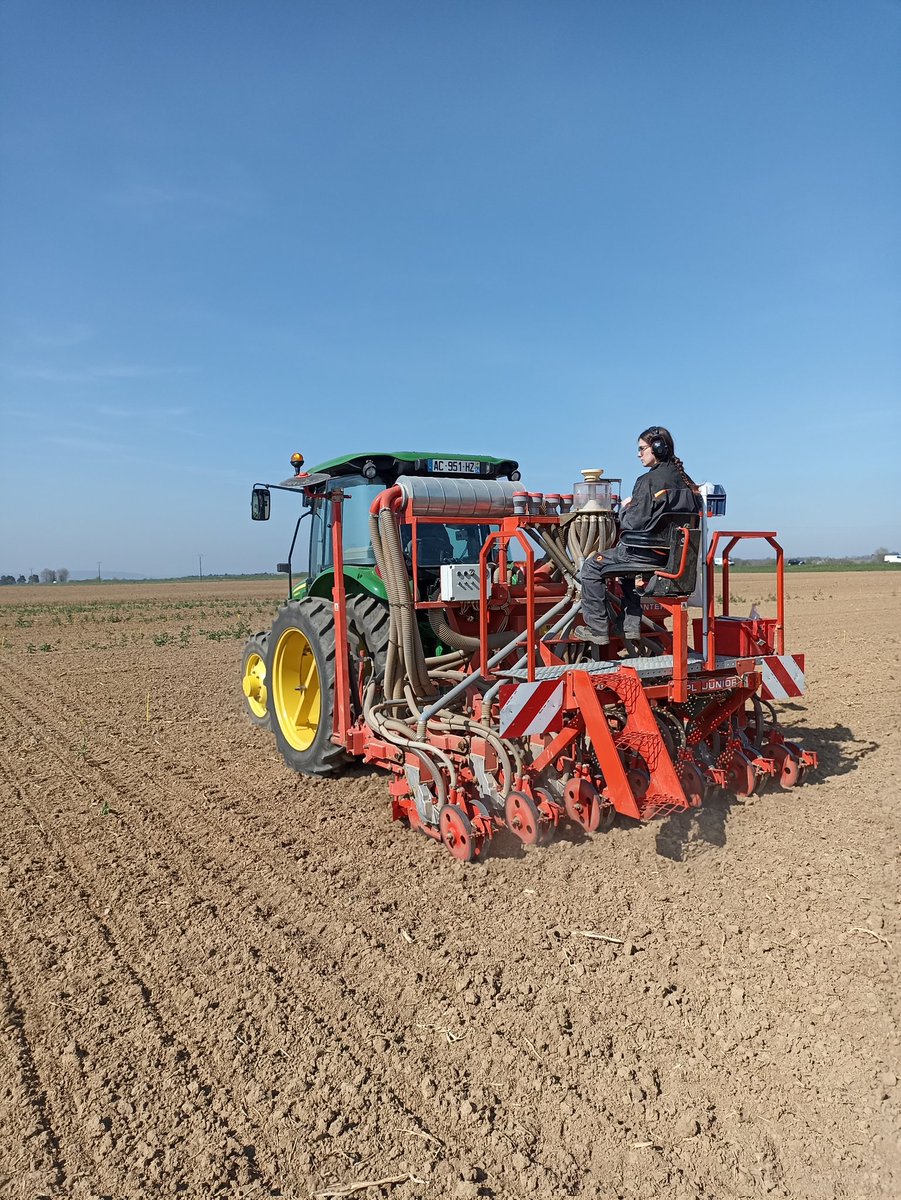 Sortie ce matin sous le ☀️ de #lorraine avec <a href="/OM_TInovia/">Olivier Mangenot Terres Inovia</a> et <a href="/manonguillaume_/">Manon Guillaume-T</a> pour le semis d'un essai #tournesol qui profitera des pluies annoncées début semaine prochaine 👍💦
Objectif : une levée rapide pour une culture robuste