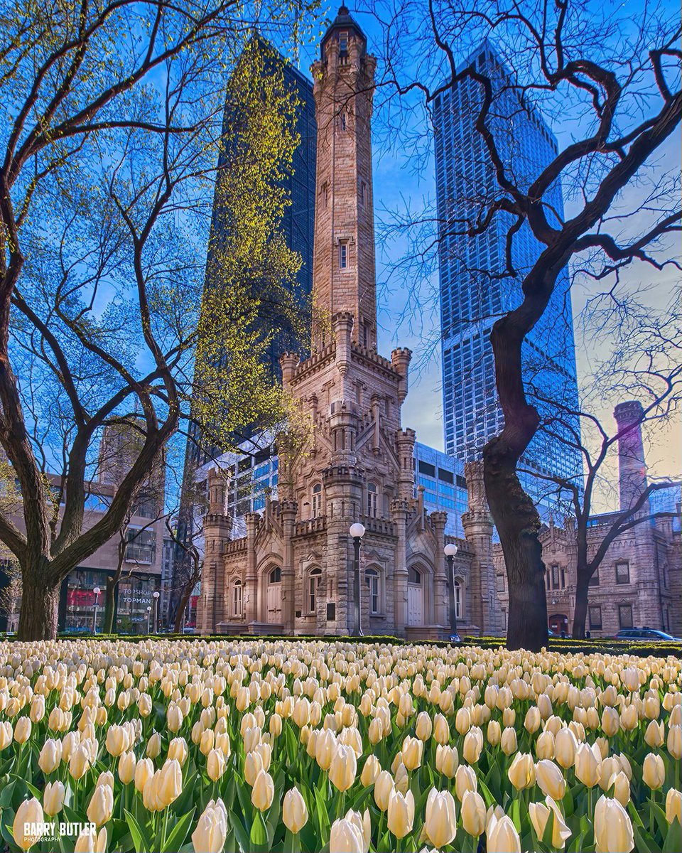 barrybutler9's tweet photo. Keep reminding yourself April showers bring May flowers.  This has been a tough weather month so far.  It appears temps will warm up starting on Saturday in Chicago.   Hope is on its way. #chicago https://t.co/mIQfGsFNhX