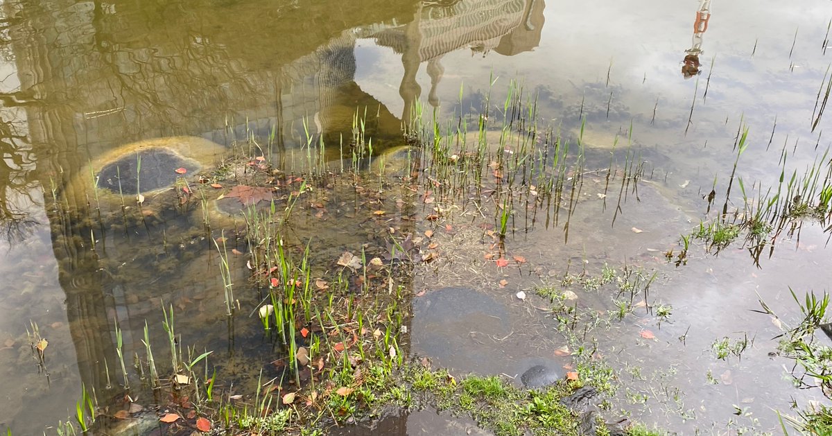 【日比谷公園に巨大インスタレーション】
bijutsutecho.com/magazine/news/…

日比谷公園内で、東京都主催のアートイベント「Hibiya Art Park 2025 -訪れるたび、アートと出会う1ヶ月‐」が4月25日より開催。
巨大インスタレーションやパフォーミングアーツに焦点を当てた企画も実施されます。