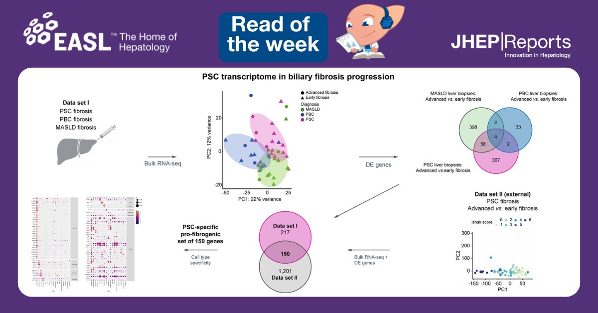 EASLnews (@easlnews) on Twitter photo In today’s #readoftheweek📚, learn how a PSC-attributed gene signature associated with biliary fibrosis development may enable the identification of potential new biomarkers and therapeutic targets in PSC-related fibrogenesis.
Read here this <a href="/JHEP_Reports/">JHEP Reports</a> article: In today’s #readoftheweek📚, learn how a PSC-attributed gene signature associated with biliary fibrosis development may enable the identification of potential new biomarkers and therapeutic targets in PSC-related fibrogenesis.
Read here this <a href="/JHEP_Reports/">JHEP Reports</a> article: