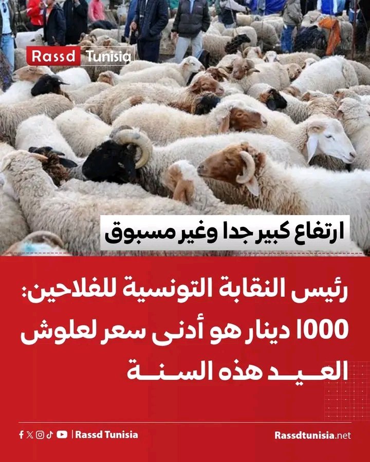 nallou222's tweet photo. لمن استطاع اليه سبيلا... و الذنب يقع على من يستغلون العيد لرفع الأسعار. https://t.co/yOo259fRzO