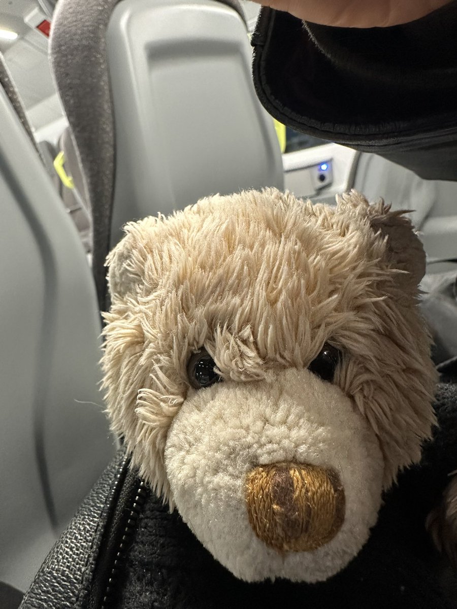 RubioOnTour's tweet photo. I’m on tour! On twain from airport to Milan Centrale. 

Keeping Dad and Uncle Nick in check.

We are watching Ist Ist tonight here then going to Switzerland and Germany for two more.

Can you get apple on pizza? 

Dad says I’d like doppio espresso but Mum warned me to avoid it. https://t.co/3D30FIjmJJ
