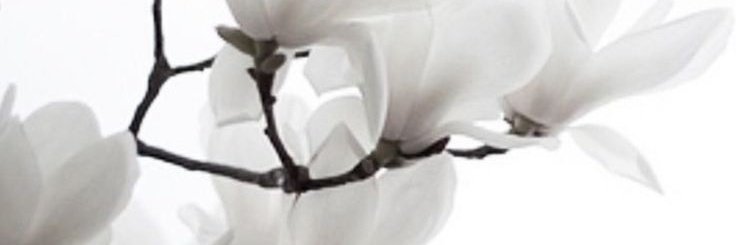 Ini masuk ngga? #zonauang