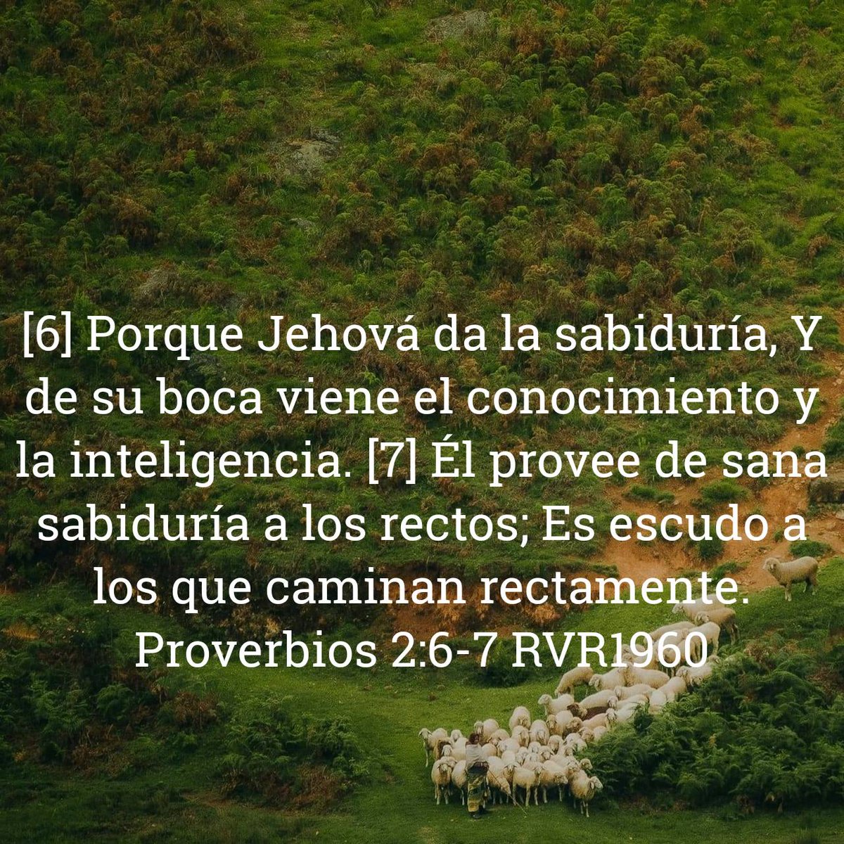 lara_is's tweet photo. Proverbios 2:6-7 RVR1960
[6] Porque Jehová da la sabiduría, Y de su boca viene el conocimiento y la inteligencia. [7] Él provee de sana sabiduría a los rectos; Es escudo a los que caminan rectamente.

https://t.co/BIlVstWDmh https://t.co/X9uAz8huaL
