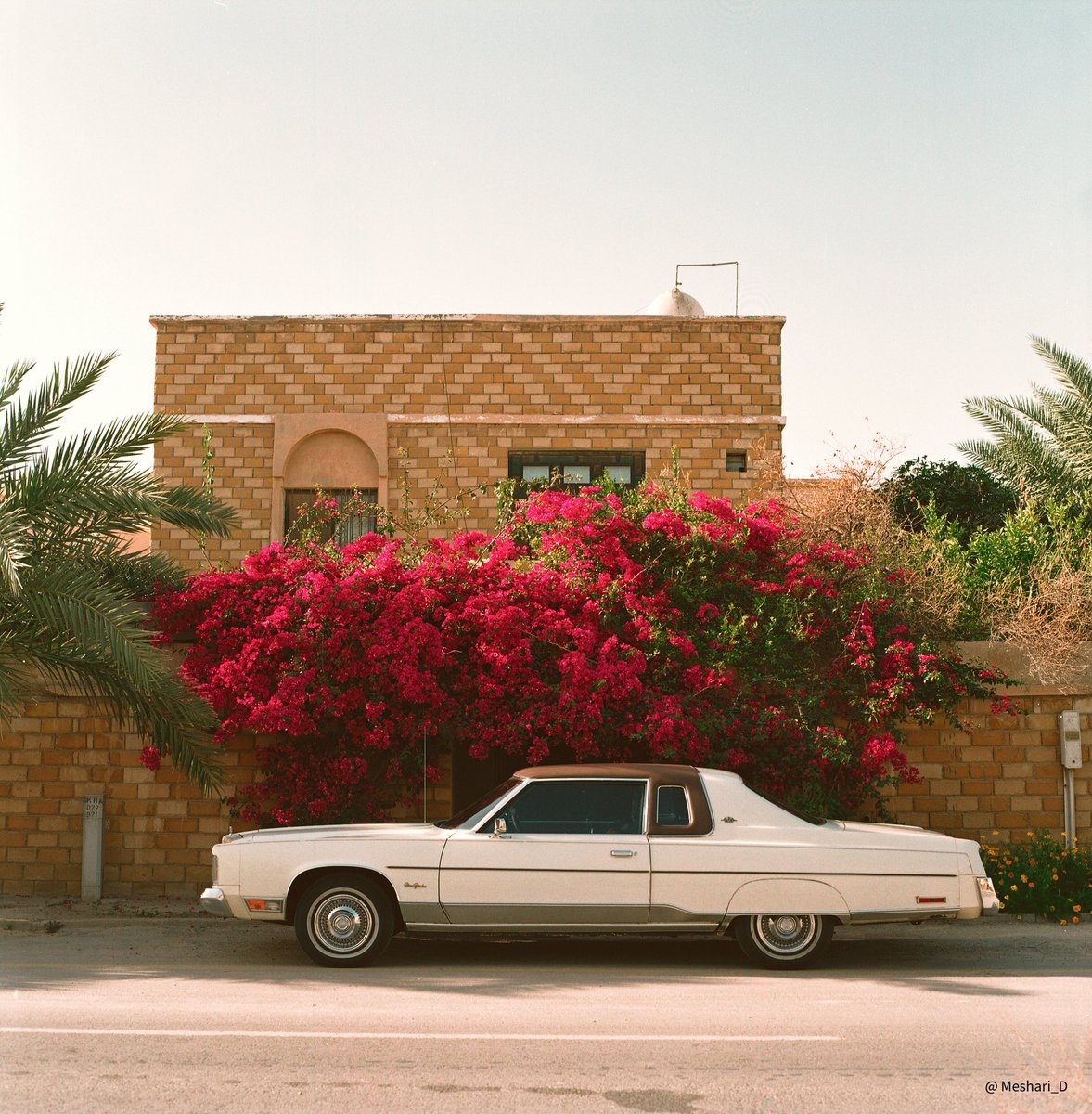 Meshari_D's tweet image. Kodak Gold 200 🎞️
#film #kodak