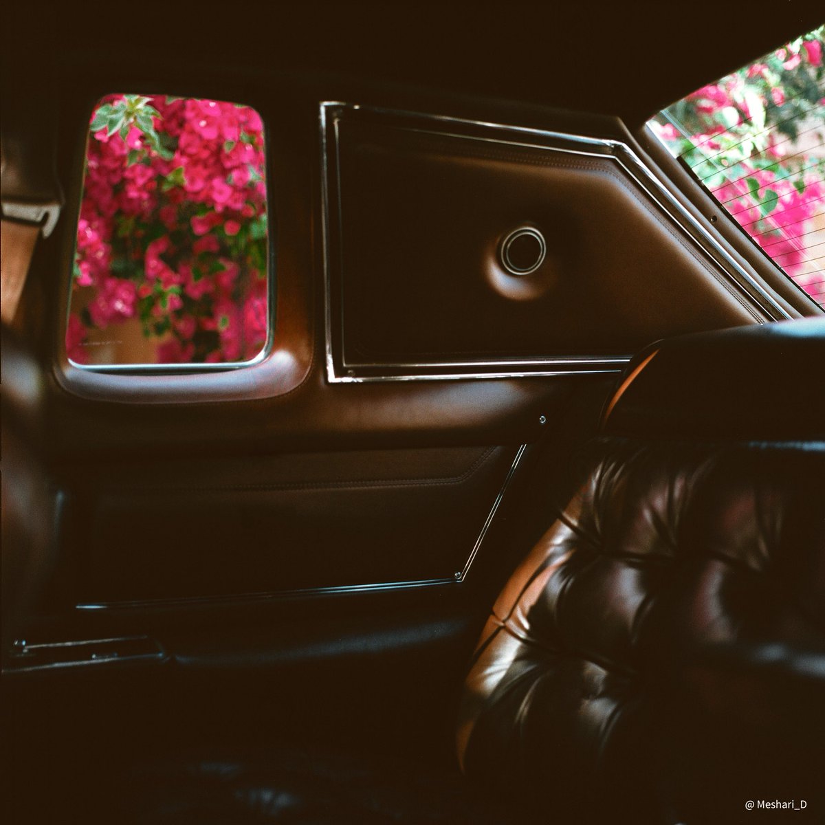 Meshari_D's tweet image. Kodak Gold 200 🎞️
#film #kodak