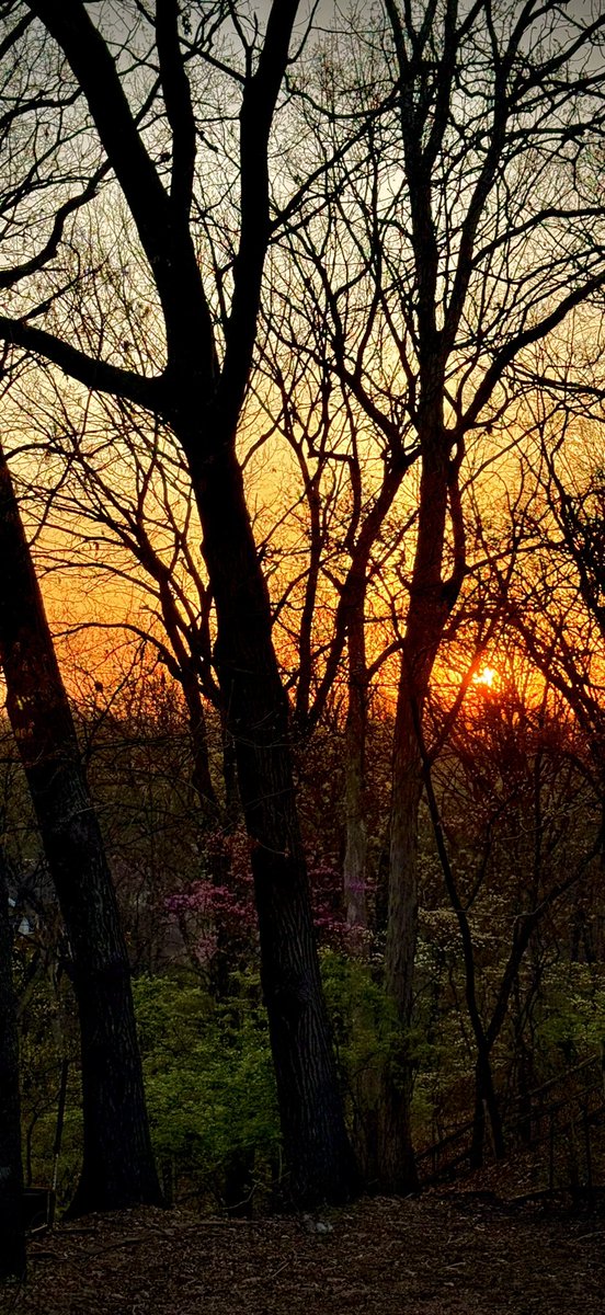 toddmccandless's tweet photo. #dawnpatrol #dogwalk https://t.co/HNXiT0Q43D