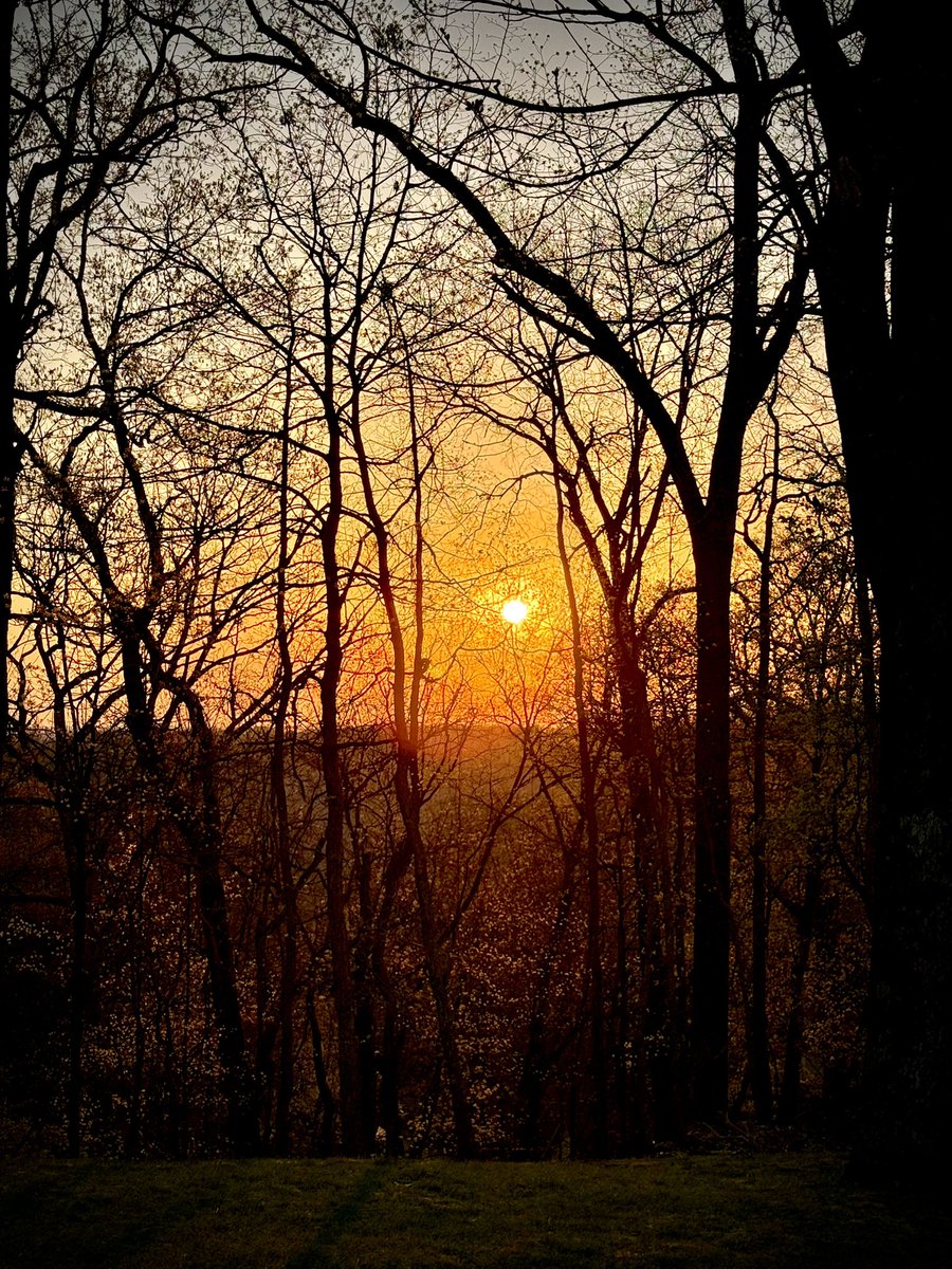 toddmccandless's tweet photo. #dawnpatrol #dogwalk https://t.co/HNXiT0Q43D