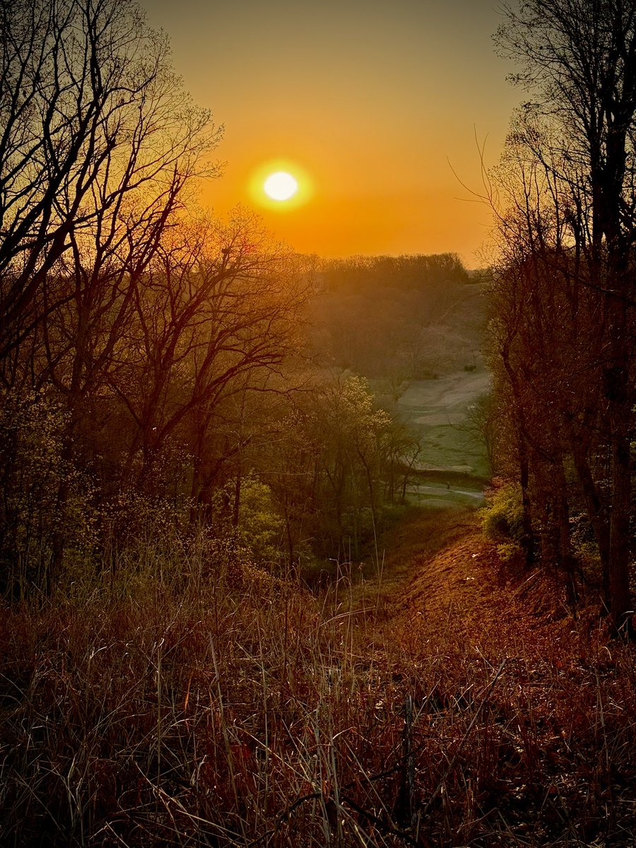 toddmccandless's tweet photo. #dawnpatrol #dogwalk https://t.co/HNXiT0Q43D