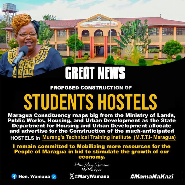 MaryWamaua's tweet photo. Meanwhile, we continue to lobby for our people. https://t.co/GwZLtl1q5F