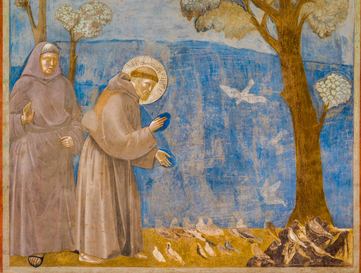 🕊️ 800 Years of Praise: The Canticle of the Creatures &amp; Catholic Creation Care
In 2025, the world celebrates 800 years since Saint Francis of Assisi composed The Canticle of the Creatures—his joyful song of praise to God through Brother Sun, Sister Moon, and all of creation.