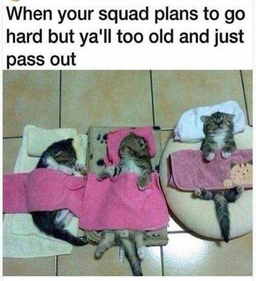 WholesomeMeme's tweet photo. https://t.co/rvVczGJdM2