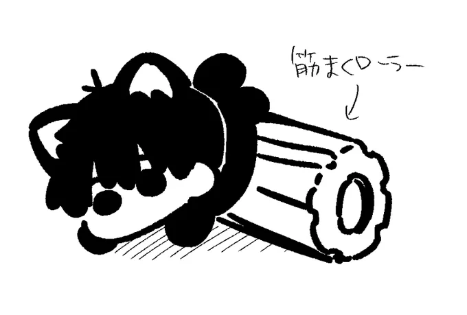筋i膜ローラーよいちにゃん 