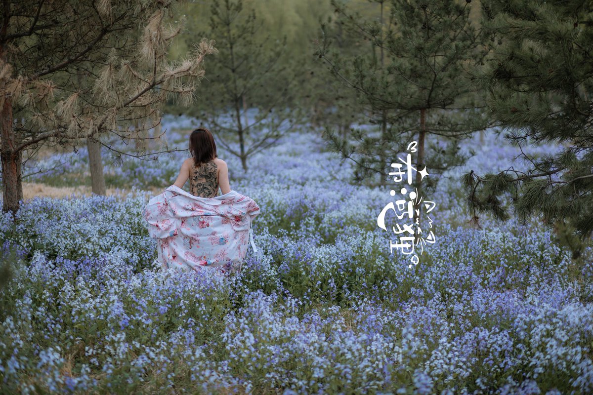 电影太仁慈了，总能让错过的人重新遇见。

👧🏻:@Some_fish_ 
📷:@Unreasonable002 

⭕ @Fengsiyuan https://t.co/i6jIc3ildN
