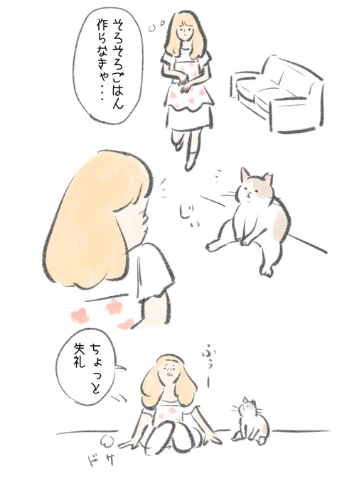 猫の休憩所。 