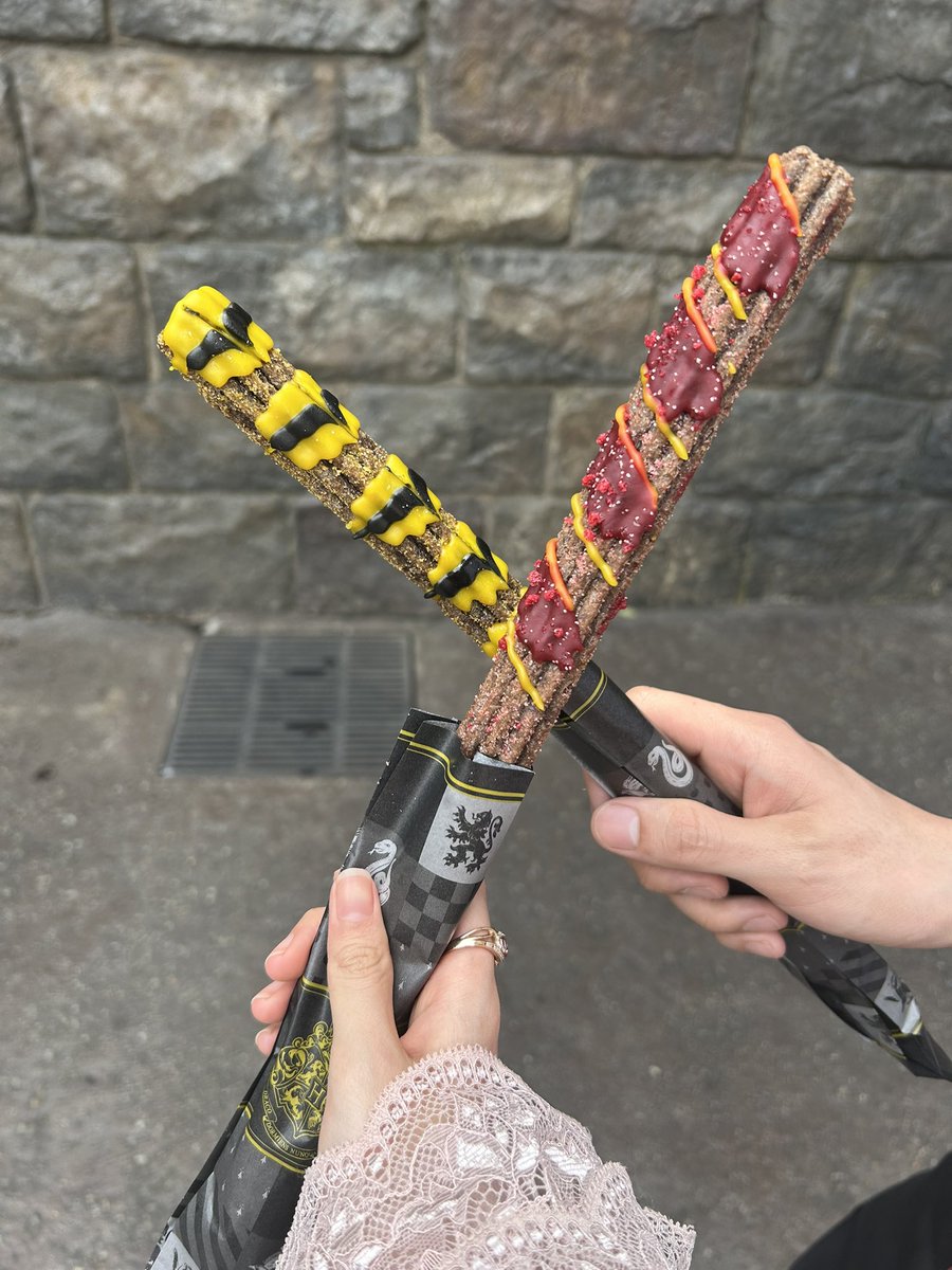 SingenLiebe's tweet photo. 2日間ユニバの旅楽しかった！魔法使ったり絶叫系沢山乗ったりホテルの最上階で泊まったり美味しいものもいっぱい食べれて幸せ過ぎた〜！ https://t.co/YeE5iKmOwW