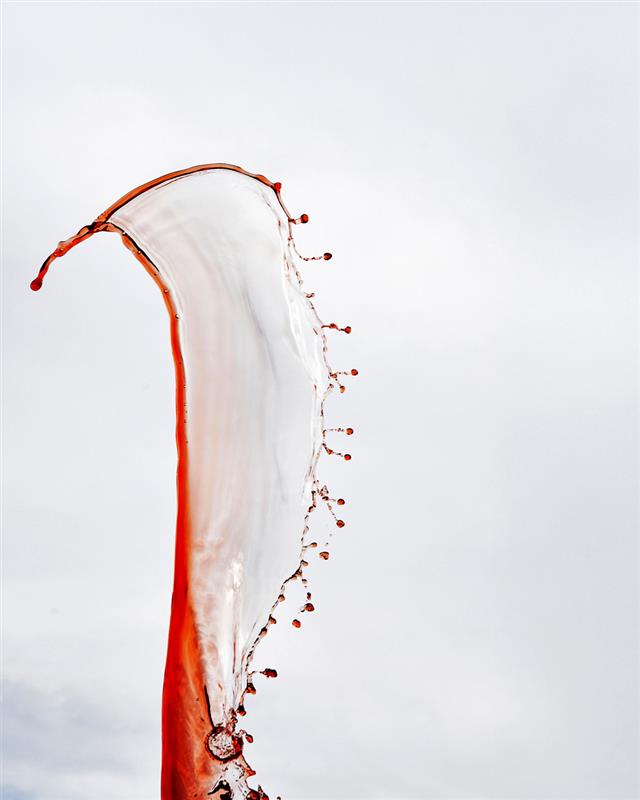 Every drop tells a story of passion and conviction 🍷
From the heart of Hemel-en-Aarde Ridge, La Vierge wines capture the artistry of winemaking in its purest form ✨
#LaViergeWines #PurityAndConviction #WineArtistry #HemelEnAardeRidge