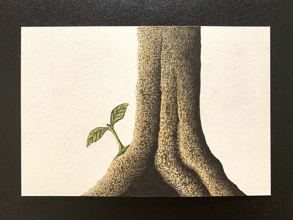 firstleaf_art's tweet photo. 少しずつ、自分の色を取り戻す✏️🌱

#双葉アート #双葉 #葉っぱ #樹木 #ボールペン #ボールペン画 #色鉛筆 #色鉛筆画
#firstleaf_art #firstleaf #leaf #leaves #tree #trees #coloredpencil #coloredpencildrawing #coloredpencilart #coloredpencil_art https://t.co/Lx2jdBq6hU