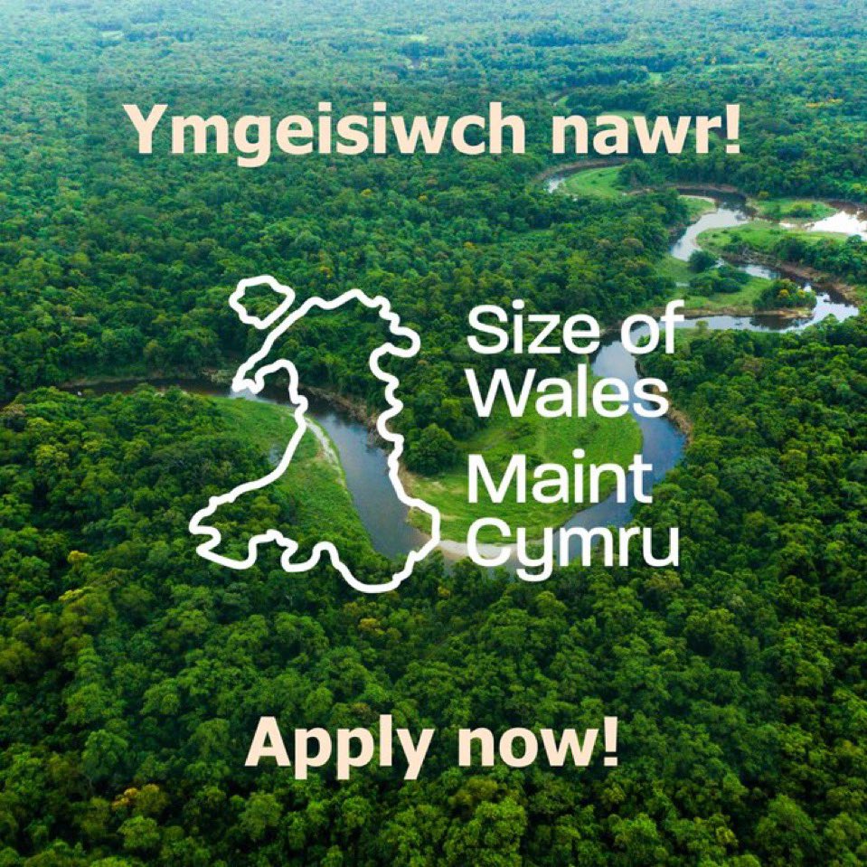 Barbara Davies Quy (@quydavies) on Twitter photo 🚨Want to help protect tropical forests ?
There's a fantastic opportunity to join <a href="/sizeofwales/">Size of Wales | Maint Cymru</a> as our new Chair of Board of Trustee 🌿
To apply see here 👇
buff.ly/ts9KEzB
📆 Deadline: 9am on 29th April
Please share 🙏 🚨Want to help protect tropical forests ?
There's a fantastic opportunity to join <a href="/sizeofwales/">Size of Wales | Maint Cymru</a> as our new Chair of Board of Trustee 🌿
To apply see here 👇
buff.ly/ts9KEzB
📆 Deadline: 9am on 29th April
Please share 🙏