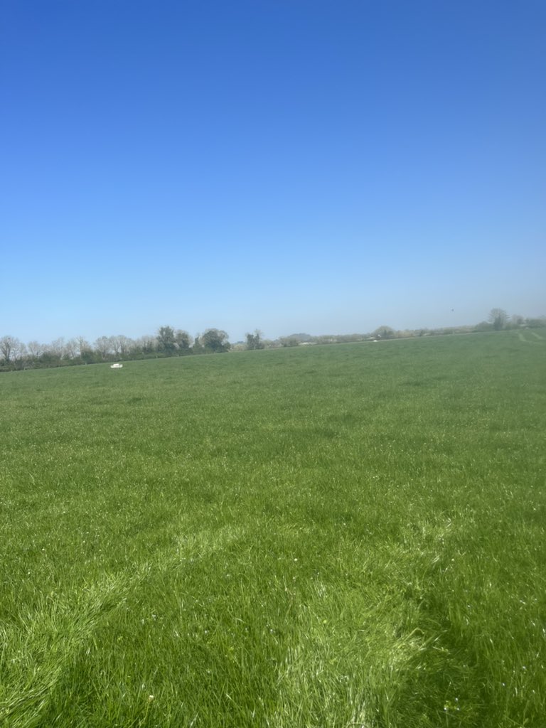 TrevorFarrell12's tweet image. Is it okay to look for rain? 😅 Fert for 1st cut silage could do with some rain to get washed in 🙈😅 #neverpleased