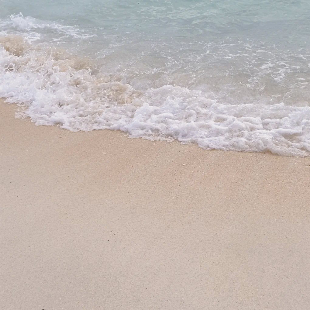 strwbrrylate's tweet photo. ˖°🌊⋆🐚🫧 https://t.co/ihhjPgx15o