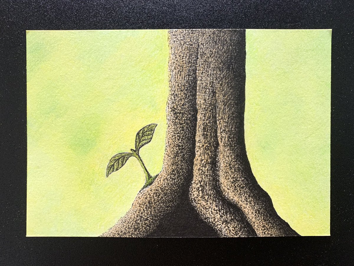 firstleaf_art's tweet photo. 春の陽気に誘われて、長い眠りについていた双葉がようやく目を覚ました✨🌱

#双葉アート #双葉 #葉っぱ #樹木 #ボールペン #ボールペン画 #色鉛筆 #色鉛筆画
#firstleaf_art #firstleaf #leaf #leaves #tree #trees #coloredpencil #coloredpencildrawing #coloredpencilart #coloredpencil_art https://t.co/sDYXUe3N6m