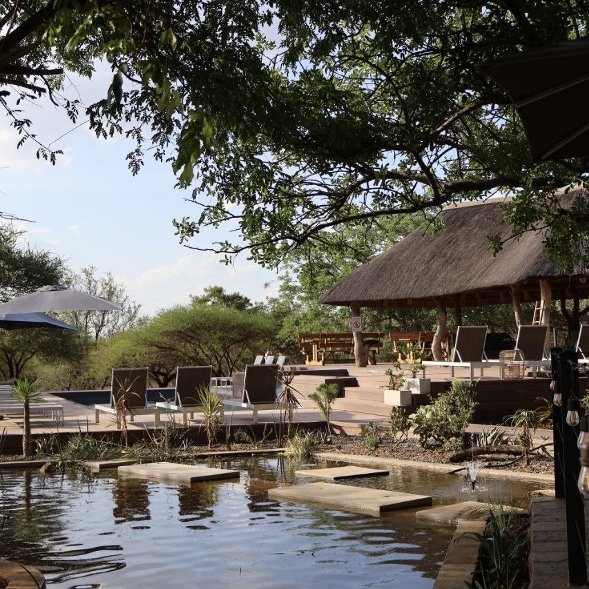 africatouchdown's tweet photo. Easter weekend still wide open? Let’s fix that.

Tshukudu Game Lodge in Hoedspruit, Limpopo is calling and trust us, this is no ordinary getaway.

Think Big 5 game drives that get your heart racing, lazy afternoons at the Tshukudu bush spa, and golden hour gin tastings that roll right into boma dinners under the stars. Great food, even better company, and the kind of fresh air that hits reset in all the right ways.

This isn’t just a break, it’s a wild, wonder-filled escape you’ll be talking about long after Monday rolls around.

Visit our website to learn more!

🌐 https://t.co/txfP8zEL2y

#TouchDownAfrica #TravelWithTouchDown #UnforgetableExperience #TravelWithPurpose #ExploreSouthAfrica #SouthAfrica #Tshukudu #TshukuduGameLodge #SouthAfricanSafari