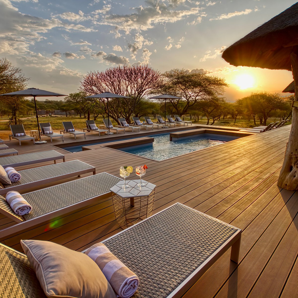 africatouchdown's tweet photo. Easter weekend still wide open? Let’s fix that.

Tshukudu Game Lodge in Hoedspruit, Limpopo is calling and trust us, this is no ordinary getaway.

Think Big 5 game drives that get your heart racing, lazy afternoons at the Tshukudu bush spa, and golden hour gin tastings that roll right into boma dinners under the stars. Great food, even better company, and the kind of fresh air that hits reset in all the right ways.

This isn’t just a break, it’s a wild, wonder-filled escape you’ll be talking about long after Monday rolls around.

Visit our website to learn more!

🌐 https://t.co/txfP8zEL2y

#TouchDownAfrica #TravelWithTouchDown #UnforgetableExperience #TravelWithPurpose #ExploreSouthAfrica #SouthAfrica #Tshukudu #TshukuduGameLodge #SouthAfricanSafari