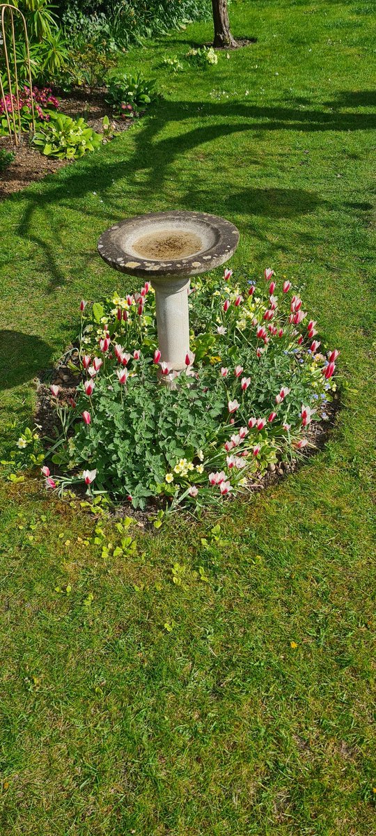 jake_001x's tweet image. #BeautifulSpring