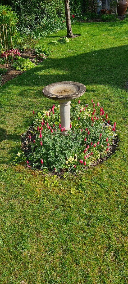 jake_001x's tweet image. #BeautifulSpring