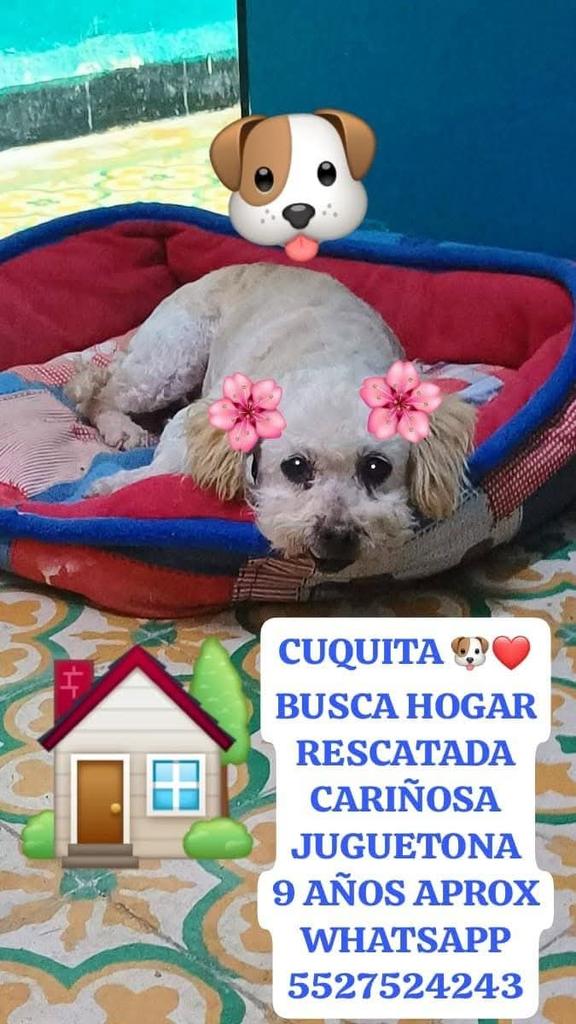 Lorii Hernandez (@l_orii) on Twitter photo 