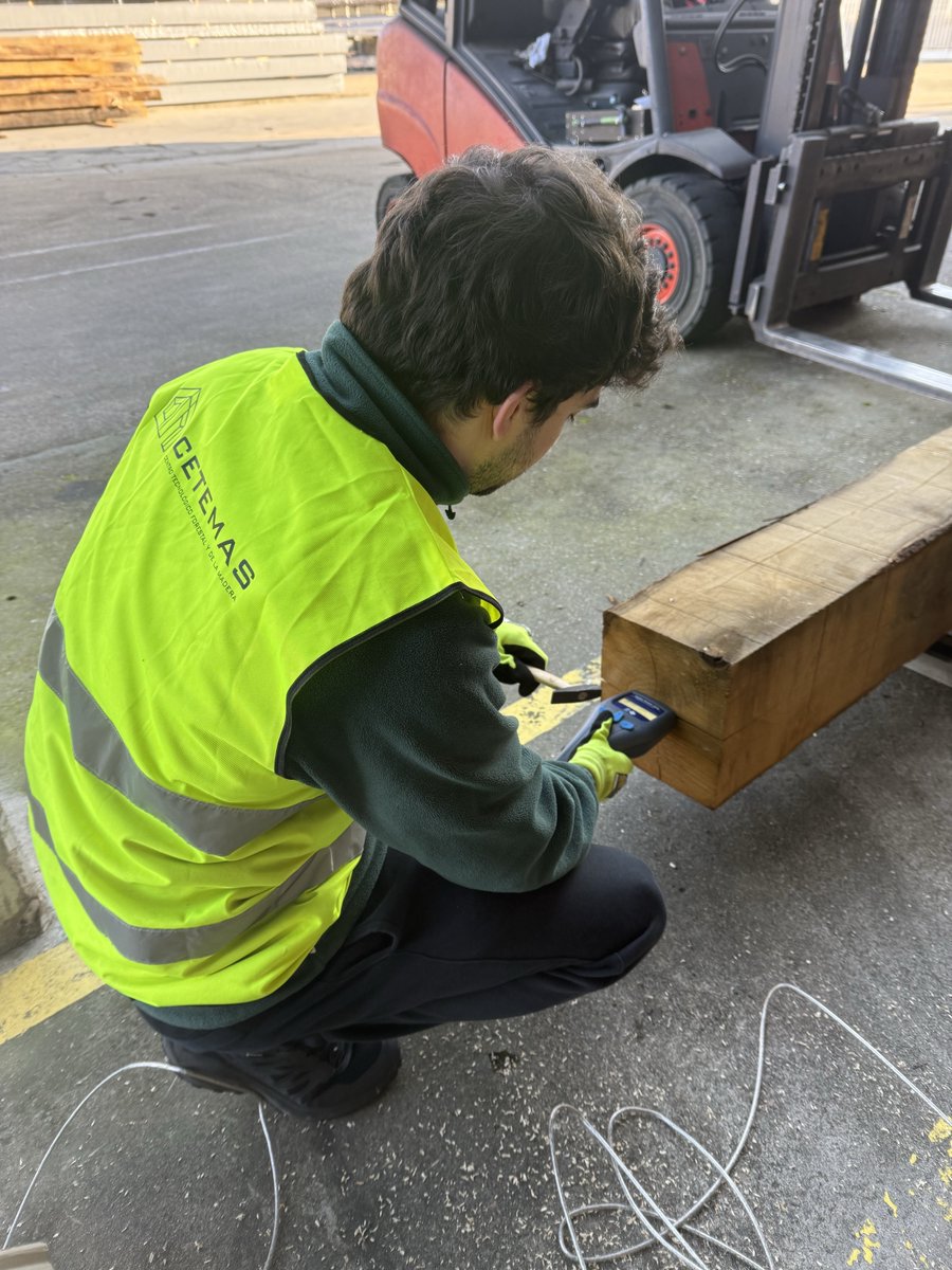 GOGECAS's tweet photo. Continuamos con las labores de caracterización mecánica d la madera d #castaño d gran escuadría mediante la utilización d los equipos sónicos HM200 y Timber Grader MTG como alternativa a las clasificaciones visuales clásicas #GOGECAS
💸@redespanola @GobAsturias @MRuralAsturias https://t.co/2k1AXYEeQI