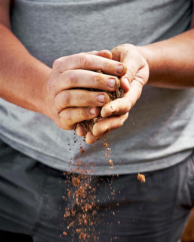 Where it all begins… 🌱🤲
The rich soil of Hemel-en-Aarde Ridge is the soul of La Vierge wines. From this earth, nurtured with care, we harvest grapes that tell a story of purity and terroir-driven excellence.
#LaViergeWines #PurityAndConviction #Terroir #HemelEnAardeRidge