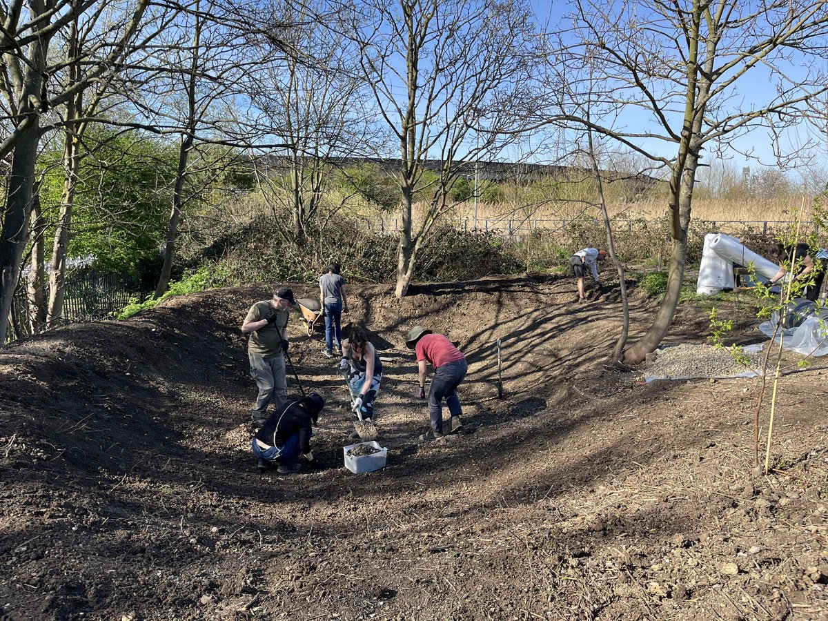 paulpowlesland's tweet photo. Looks like I’ve accidentally created a small lake without permission.

A few months ago I was clearing a rubbish strewn hollow beside the Roding & thought that as we don’t have any still standing water in the area, it would be a good place to install a pond. 

Using a digger to excavate it & volunteers to install the liner & it’s bigger than I expected, more a small lake than a pond! Although a bigger job than I expected, I’m determined to get it completed & filled for local wildlife. Am planning to put gravel on the bottom & mud from the river on the sides & let plant life naturally colonise rather than buying, but any hints or tips are welcome. 

If anyone is in London this Sunday & fancies joining a volunteer day in Barking to complete the pond, all help is very much welcome (drop me a message for the details).