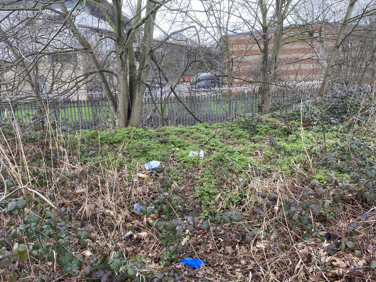 paulpowlesland's tweet photo. Looks like I’ve accidentally created a small lake without permission.

A few months ago I was clearing a rubbish strewn hollow beside the Roding & thought that as we don’t have any still standing water in the area, it would be a good place to install a pond. 

Using a digger to excavate it & volunteers to install the liner & it’s bigger than I expected, more a small lake than a pond! Although a bigger job than I expected, I’m determined to get it completed & filled for local wildlife. Am planning to put gravel on the bottom & mud from the river on the sides & let plant life naturally colonise rather than buying, but any hints or tips are welcome. 

If anyone is in London this Sunday & fancies joining a volunteer day in Barking to complete the pond, all help is very much welcome (drop me a message for the details).