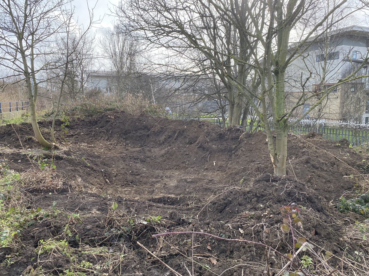 paulpowlesland's tweet photo. Looks like I’ve accidentally created a small lake without permission.

A few months ago I was clearing a rubbish strewn hollow beside the Roding & thought that as we don’t have any still standing water in the area, it would be a good place to install a pond. 

Using a digger to excavate it & volunteers to install the liner & it’s bigger than I expected, more a small lake than a pond! Although a bigger job than I expected, I’m determined to get it completed & filled for local wildlife. Am planning to put gravel on the bottom & mud from the river on the sides & let plant life naturally colonise rather than buying, but any hints or tips are welcome. 

If anyone is in London this Sunday & fancies joining a volunteer day in Barking to complete the pond, all help is very much welcome (drop me a message for the details).