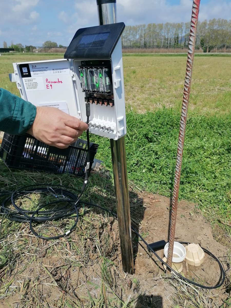 Avui instal·lem nous equips de mesura i revisem els que ja tenim instal·lats per fer un seguiment de l'aigua de reg, drenatges, contingut d'aigua al sòl i nivell del freàtic als arrossars de #Pals .

Preparats per afrontar aquesta nova campanya!💧🌾