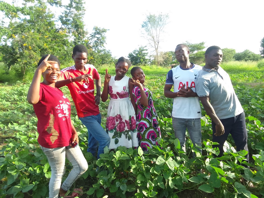 CHATBOX AFRICA tweet media