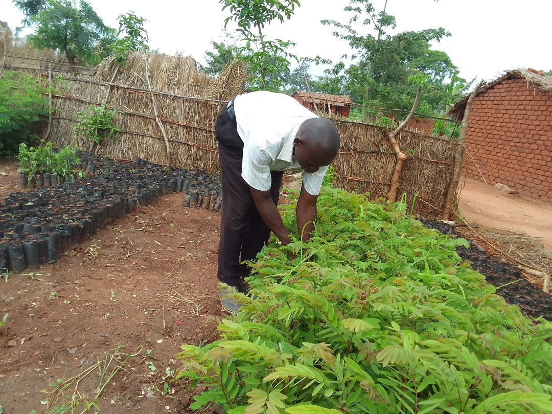 CHATBOX AFRICA tweet media