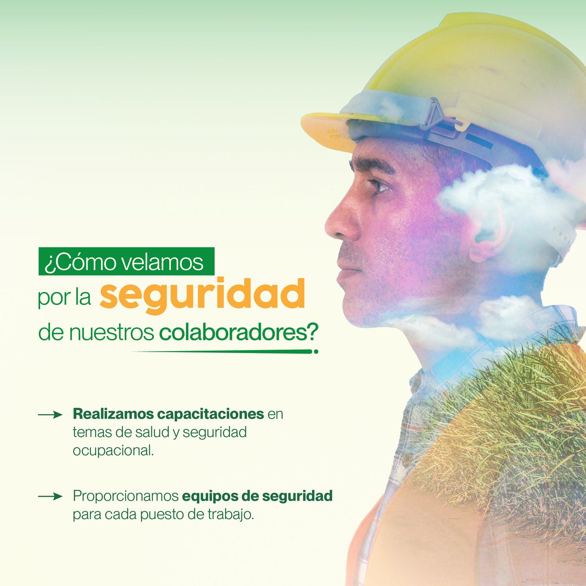 👉 La protección de nuestros trabajadores es una prioridad absoluta. Dedicamos esfuerzos constantes para garantizar un espacio laboral seguro, implementando las mejores prácticas. 👷‍♀️👷