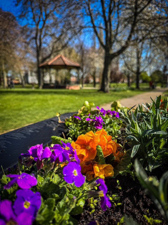 Our beautiful #ThorneMemorialPark