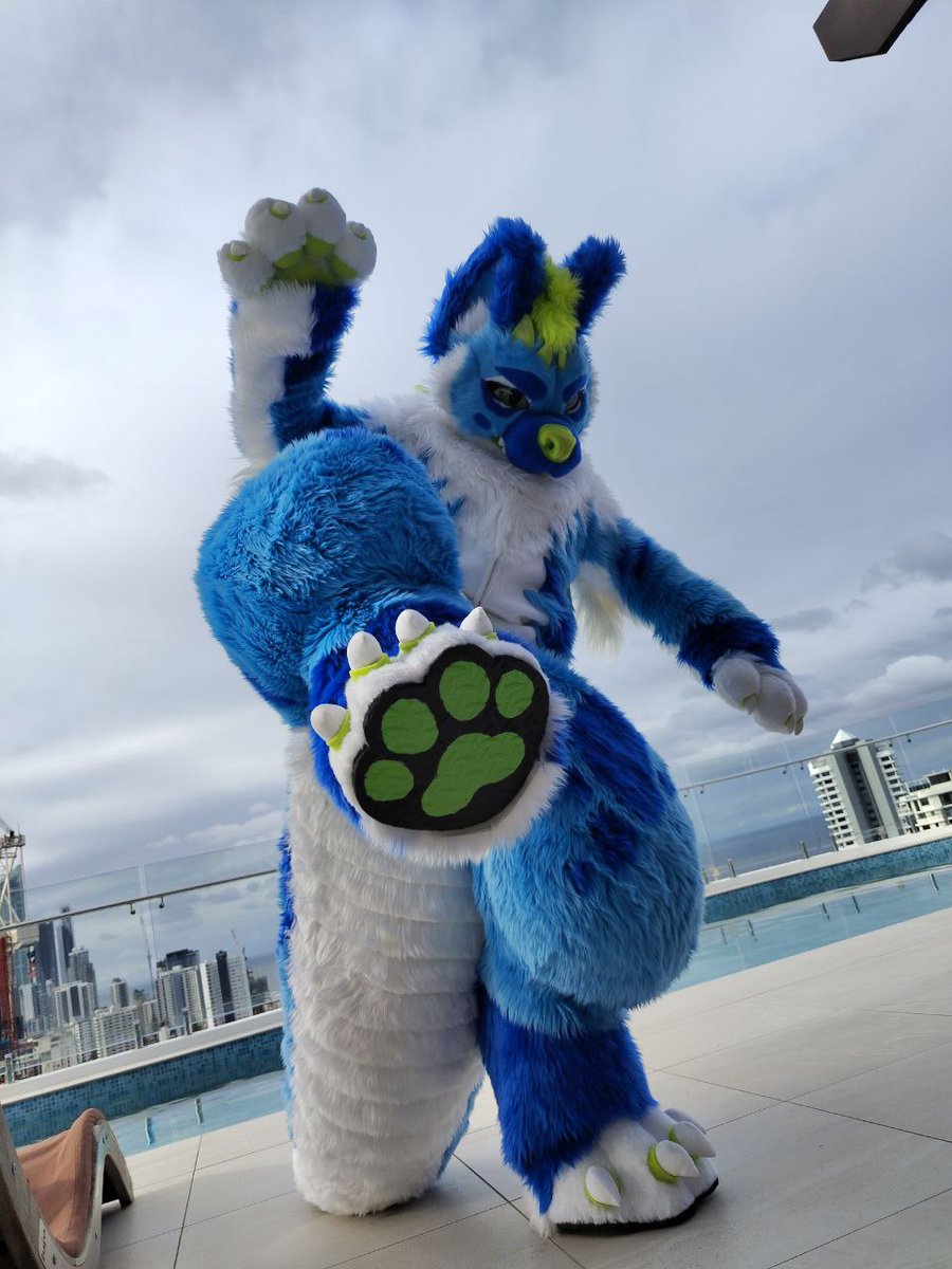 KAMIIKAMIIIIII's tweet photo. WELCOME YOLKE the CrocHyenaRoo to the KAMILiA FAMILY
•Toony style
•Mochi handpaw 4 finger holes
•Outdoor feetpaw
•Big long tail
•Digitigrade body
•Hidden zipper pouch

Thank you for choosing KAMILiA studio💖

📸: WatsyTheOtt💖

#KAMILiAFursuit
#KamiKitsune
#Fursuit
#Costume https://t.co/kUERtmfItW