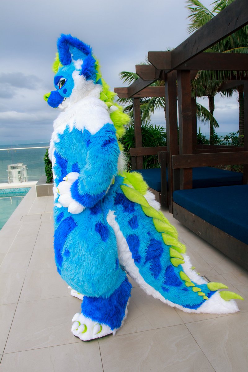 KAMIIKAMIIIIII's tweet photo. WELCOME YOLKE the CrocHyenaRoo to the KAMILiA FAMILY
•Toony style
•Mochi handpaw 4 finger holes
•Outdoor feetpaw
•Big long tail
•Digitigrade body
•Hidden zipper pouch

Thank you for choosing KAMILiA studio💖

📸: WatsyTheOtt💖

#KAMILiAFursuit
#KamiKitsune
#Fursuit
#Costume https://t.co/kUERtmfItW