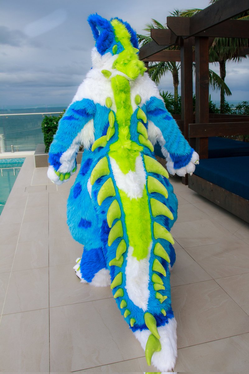 KAMIIKAMIIIIII's tweet photo. WELCOME YOLKE the CrocHyenaRoo to the KAMILiA FAMILY
•Toony style
•Mochi handpaw 4 finger holes
•Outdoor feetpaw
•Big long tail
•Digitigrade body
•Hidden zipper pouch

Thank you for choosing KAMILiA studio💖

📸: WatsyTheOtt💖

#KAMILiAFursuit
#KamiKitsune
#Fursuit
#Costume https://t.co/kUERtmfItW