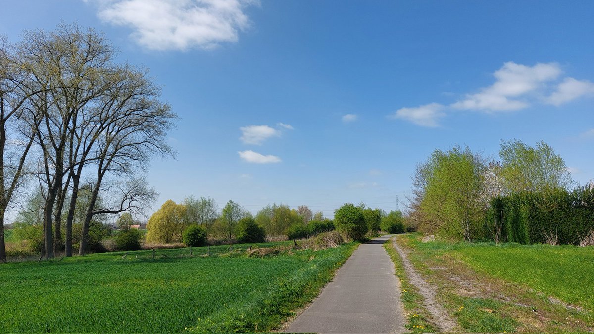 luc231255's tweet photo. #vrtweer Orroir, Mont de l'Enclus 14h40 (traject spoorlijn Avelgem-Ronse https://t.co/UVgbZVxJfa